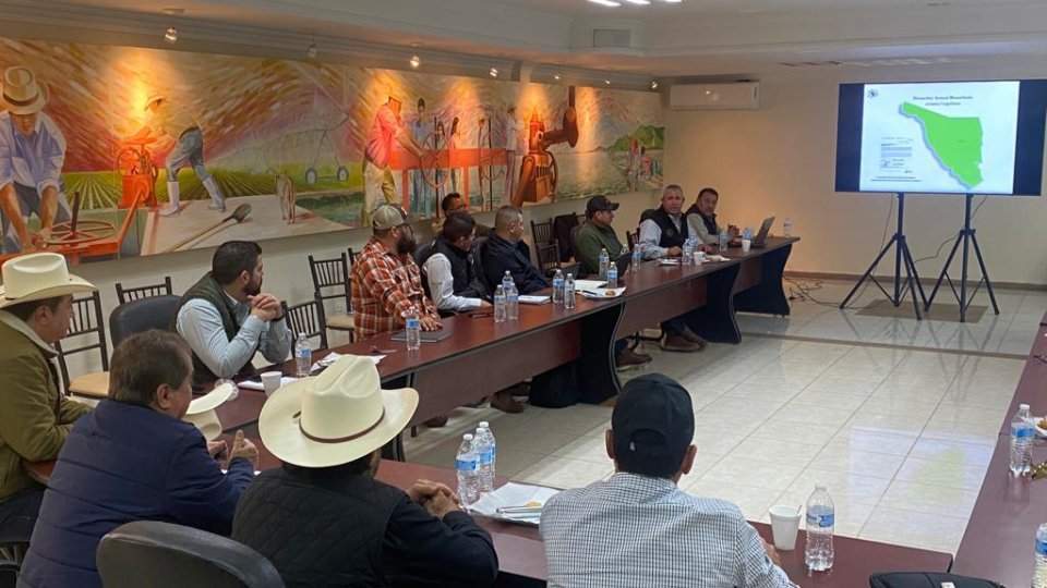 Sonora apoya a Sinaloa para que alcance su estatus sanitario: Secretaría de Agricultura