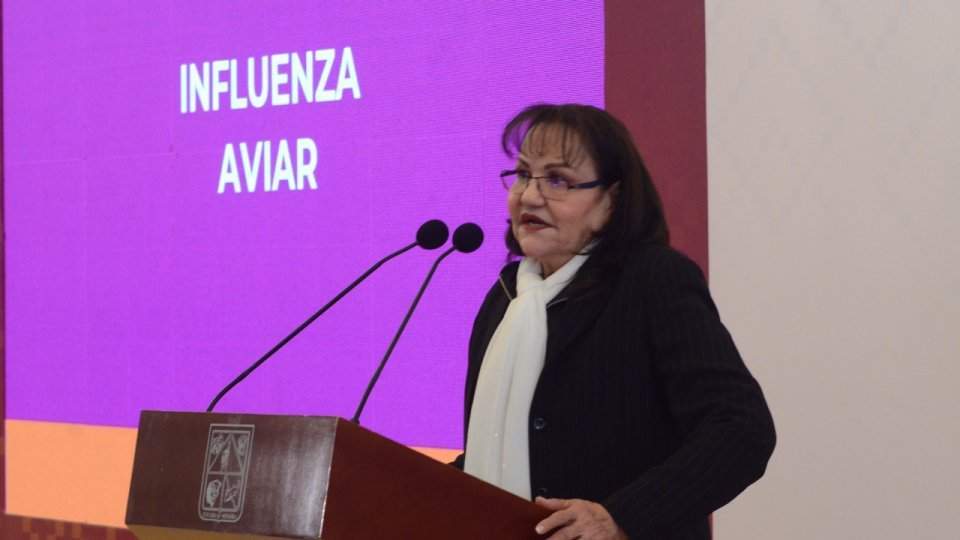 Sonora puede movilizar productos derivados del pollo al quedar libre de influenza aviar: Secretaría de Agricultura