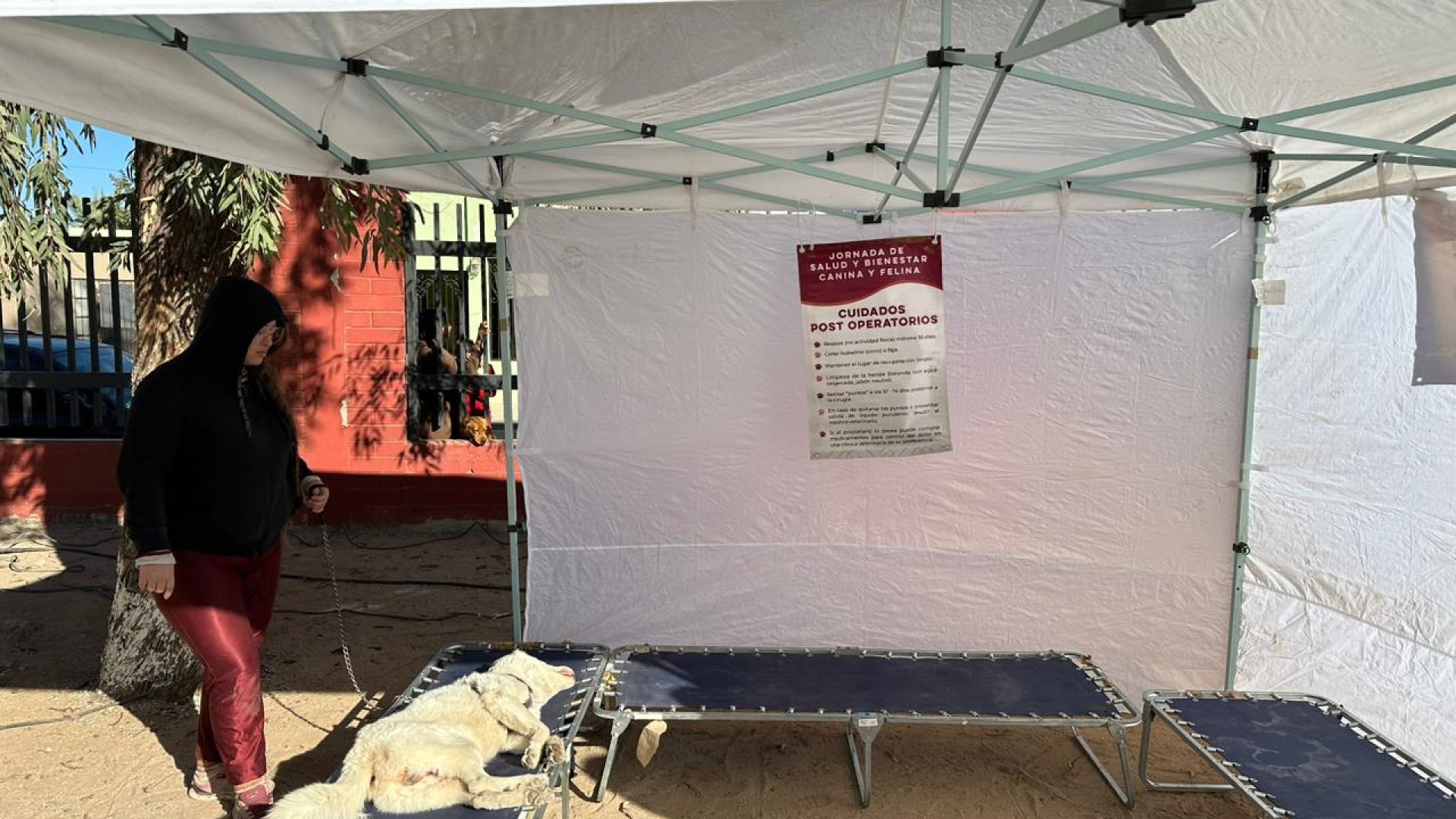 Lleva Salud Sonora Jornada de Salud Animal Canina y Felina a colonias de Hermosillo