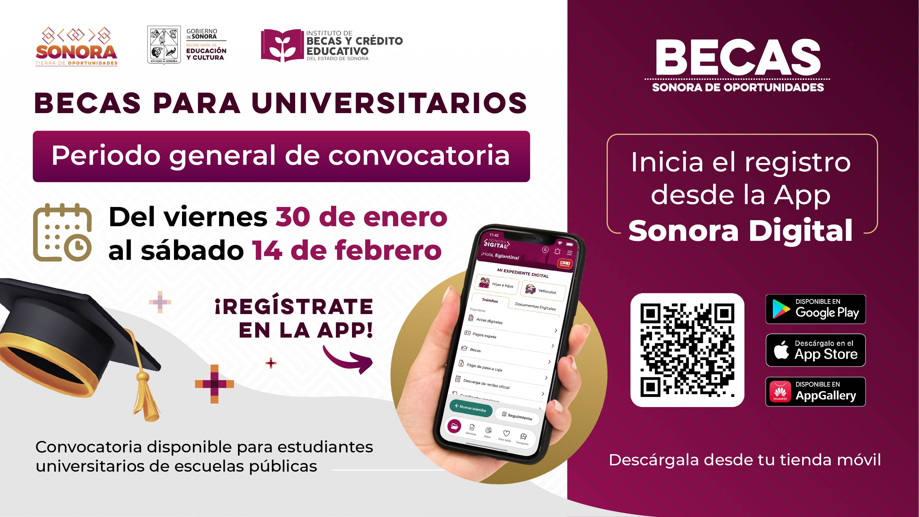 Becas para universitarios - Periodo genera de convocatoria
