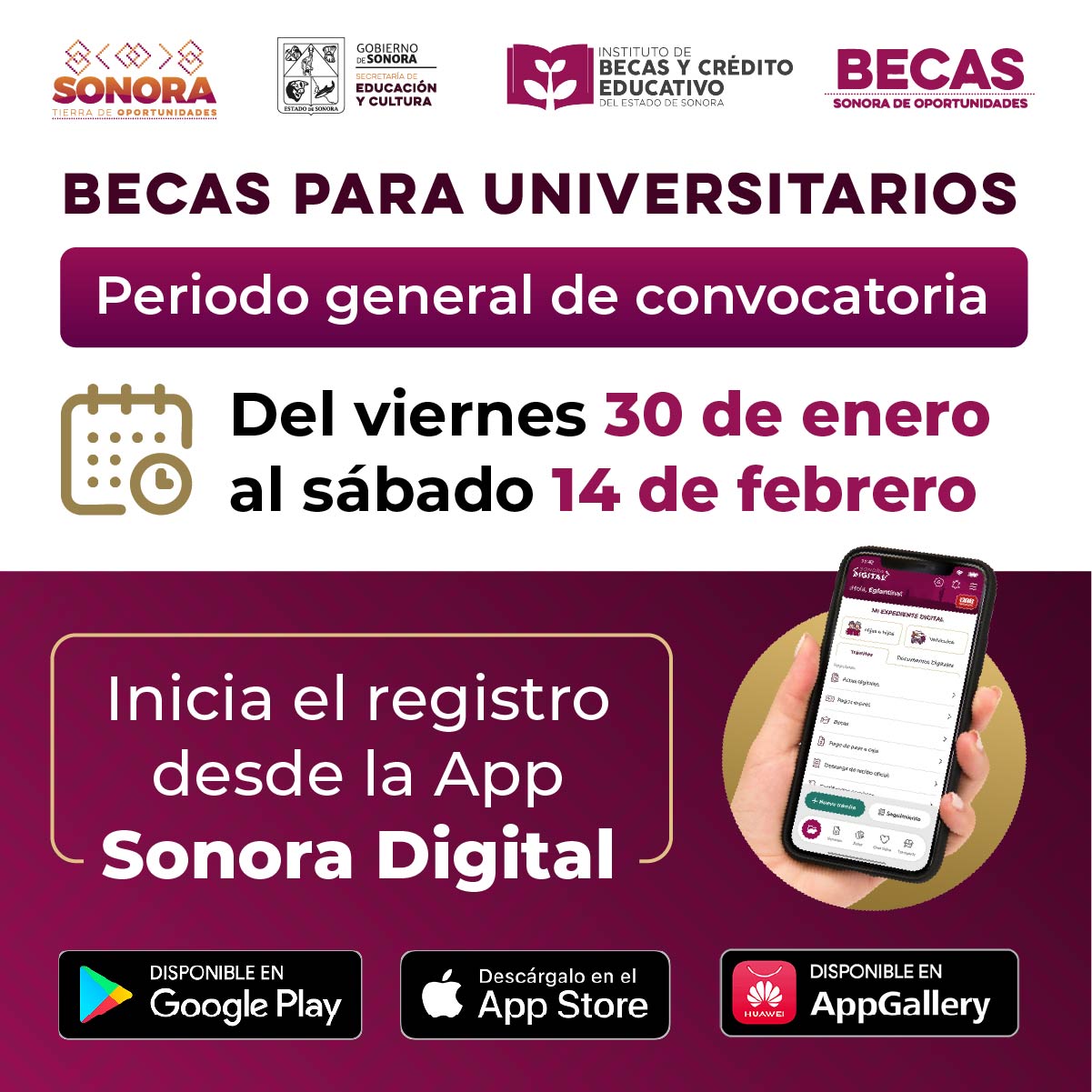 Becas Universitarias