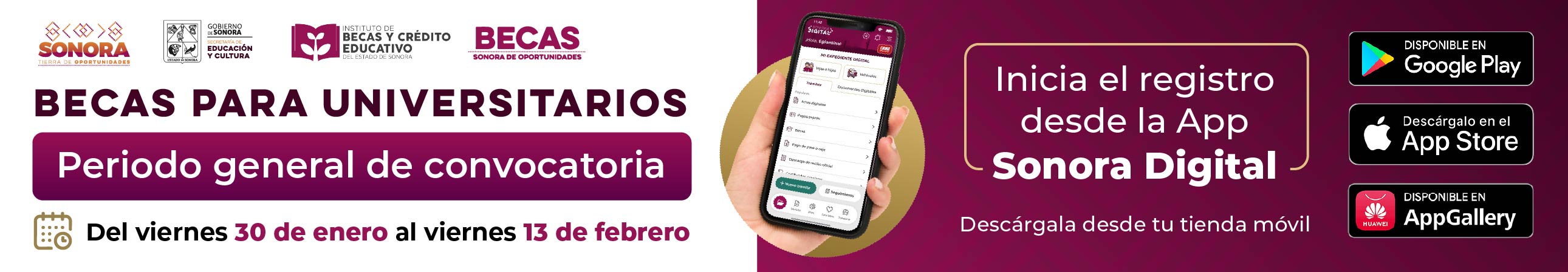 Becas Universitarias