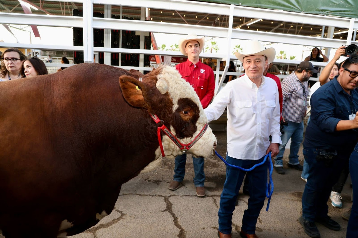 El mandatario dió inicio a las actividades de la ExpoGan Sonora 2026 que se realizará del 22 de abril al 17 de mayo, con conciertos, palenque, teatro del pueblo, atracciones mecánicas, gastronomía y actividades ganaderas para toda la familia.